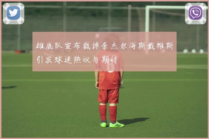 雄鹿队宣布裁掉奈杰尔海斯戴维斯引发球迷热议与期待